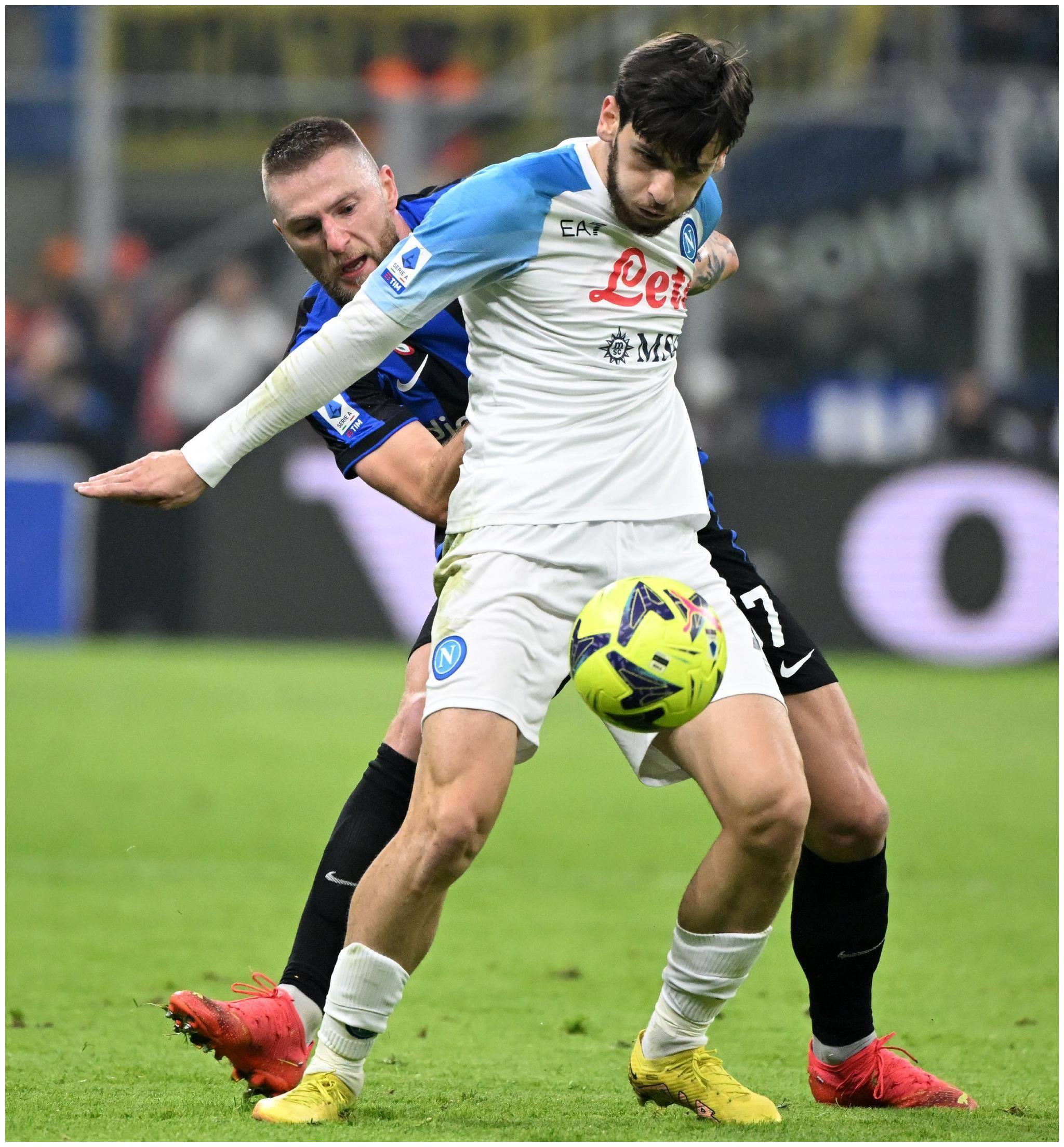 关于什克里尼亚尔适应期观察的信息